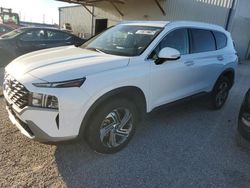 Salvage cars for sale at Houston, TX auction: 2023 Hyundai Santa FE SEL