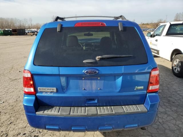 2011 Ford Escape XLT