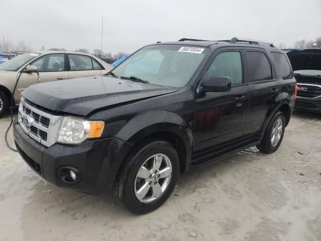 2009 Ford Escape Limited