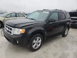 2009 Ford Escape Limited en venta en Wayland, MI