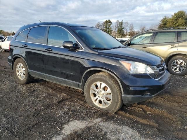 2010 Honda CR-V EXL