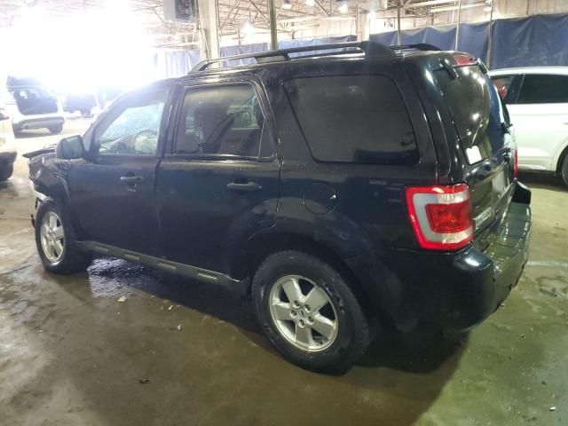 2009 Ford Escape XLT