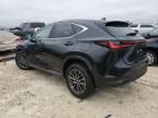 2024 Lexus NX 350H Base