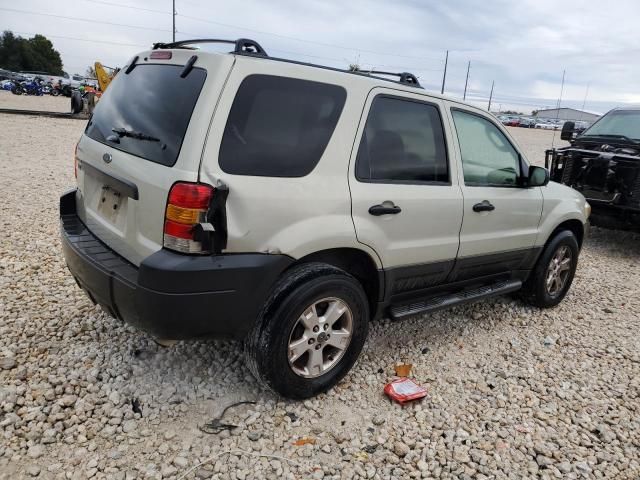 2006 Ford Escape XLT