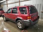 2005 Ford Escape XLT