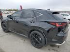 2024 Lexus NX 350 Luxury