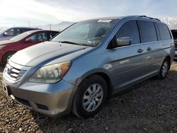 Honda Odyssey ex salvage cars for sale: 2008 Honda Odyssey EX