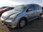 2008 Honda Odyssey EX