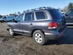 2006 Hyundai Santa FE GLS