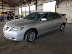 Salvage cars for sale at Phoenix, AZ auction: 2008 Toyota Camry LE