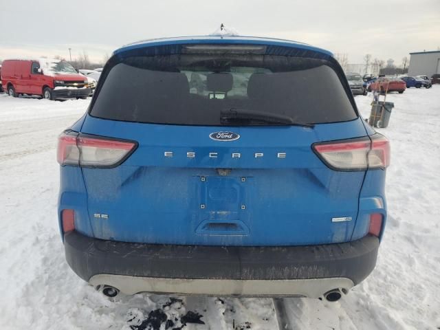 2020 Ford Escape SE