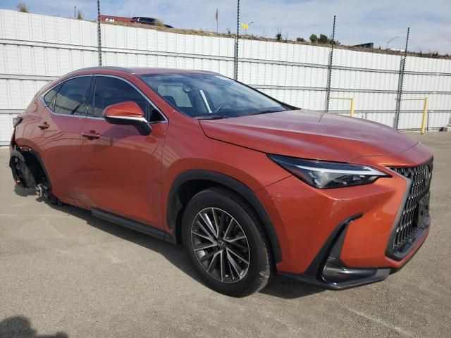 2022 Lexus NX 250