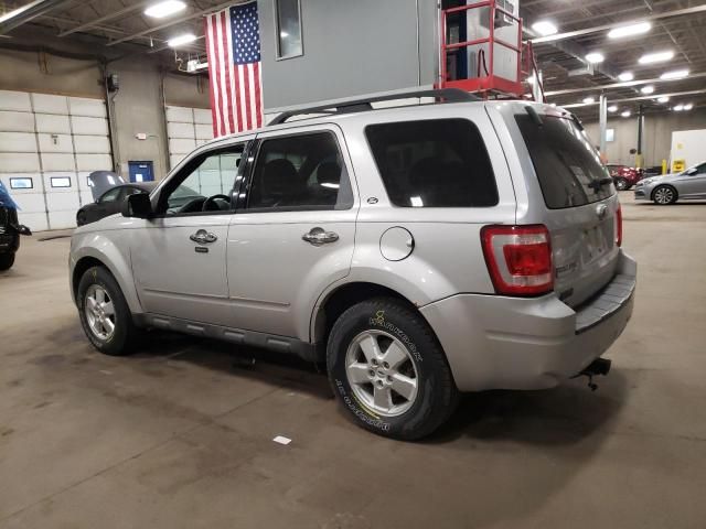 2009 Ford Escape XLT