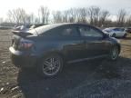 2009 Scion TC