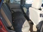 2010 Ford Escape XLS