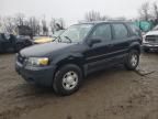 2005 Ford Escape XLS