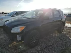 Salvage cars for sale at Magna, UT auction: 2010 Toyota Rav4