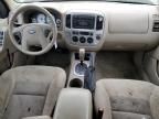 2005 Ford Escape XLT