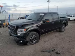 Salvage trucks for sale at Greenwood, NE auction: 2013 Ford F150 Supercrew