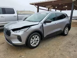 Ford Escape act salvage cars for sale: 2024 Ford Escape Active