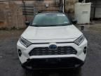 2019 Toyota Rav4 XSE