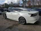 2023 Nissan Maxima Platinum