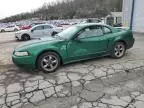 1999 Ford Mustang