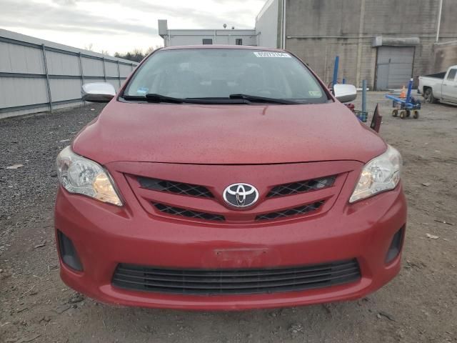 2011 Toyota Corolla Base