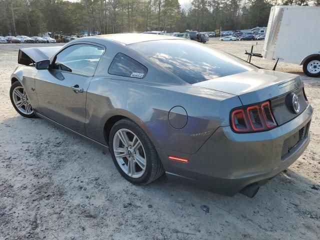 2013 Ford Mustang