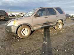 Honda salvage cars for sale: 2003 Honda CR-V LX