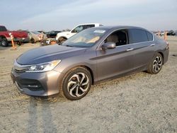 Honda Accord salvage cars for sale: 2016 Honda Accord EXL