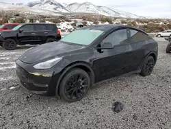 Salvage cars for sale at Reno, NV auction: 2023 Tesla Model Y