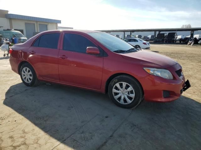 2010 Toyota Corolla Base