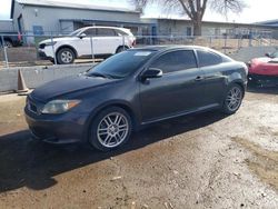 Salvage cars for sale at Albuquerque, NM auction: 2006 Scion TC