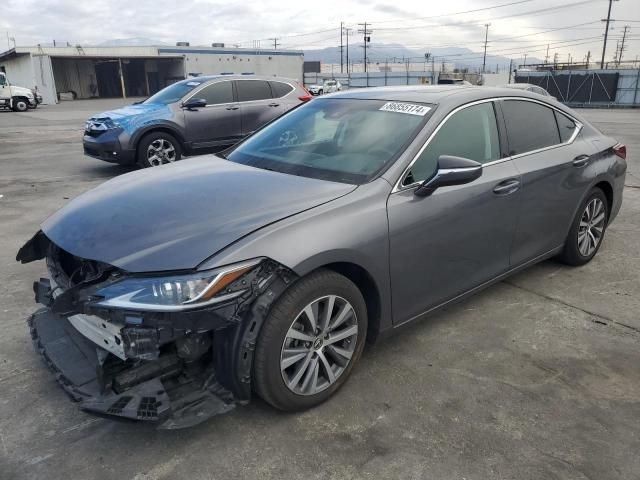 2019 Lexus ES 350