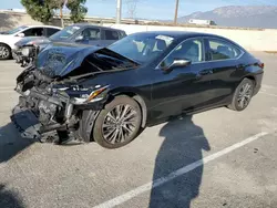 Salvage cars for sale at Rancho Cucamonga, CA auction: 2019 Lexus ES 350