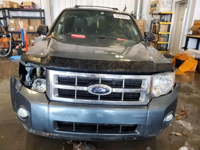 2012 Ford Escape XLT