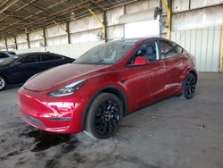 2024 Tesla Model Y en venta en Phoenix, AZ