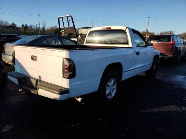 1999 Dodge Dakota