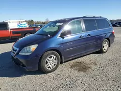 Salvage cars for sale at Lumberton, NC auction: 2007 Honda Odyssey EXL