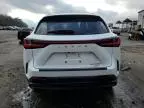 2024 Lexus NX 350H Base