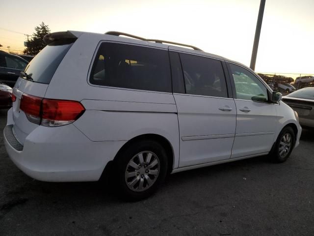 2010 Honda Odyssey EXL