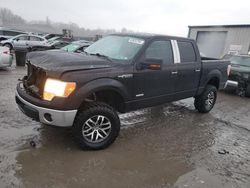 Salvage cars for sale at Duryea, PA auction: 2011 Ford F150 Supercrew