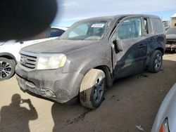 Honda Pilot Vehiculos salvage en venta: 2014 Honda Pilot EXL