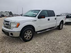 Salvage trucks for sale at Taylor, TX auction: 2013 Ford F150 Supercrew