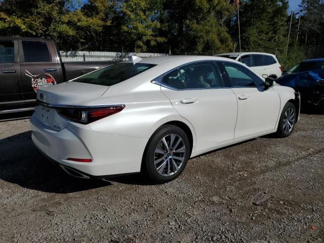 2019 Lexus ES 350