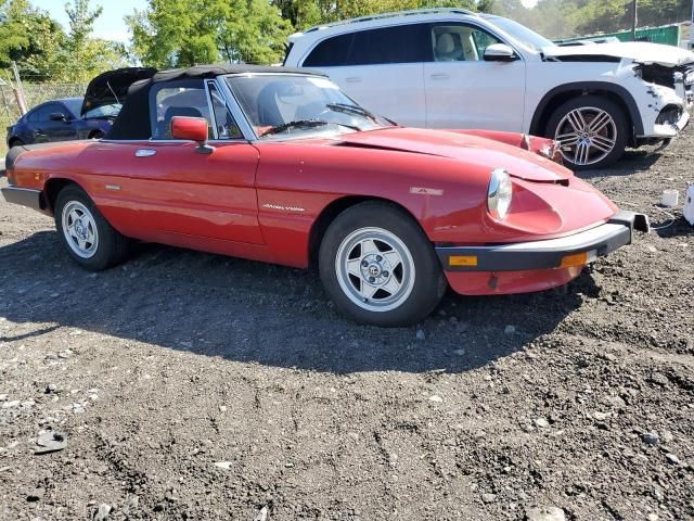 1986 Alfa Romeo Veloce 2000 Spider