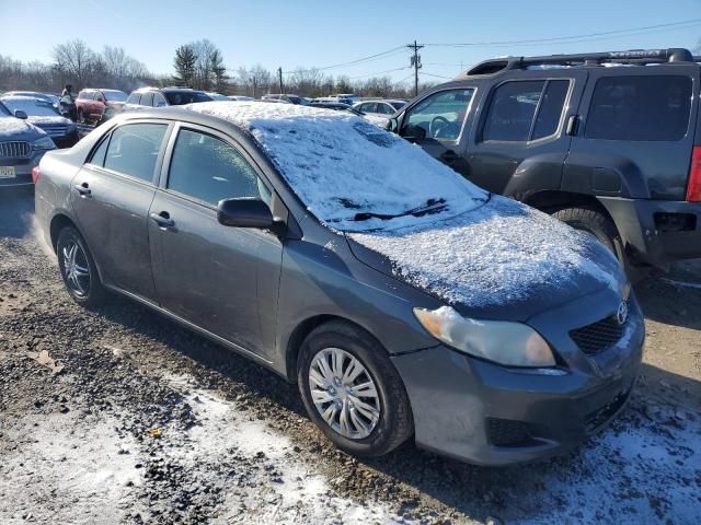 2010 Toyota Corolla Base