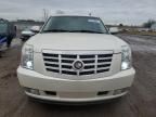 2007 Cadillac Escalade Luxury