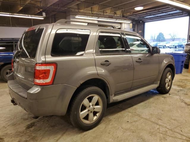 2009 Ford Escape XLT